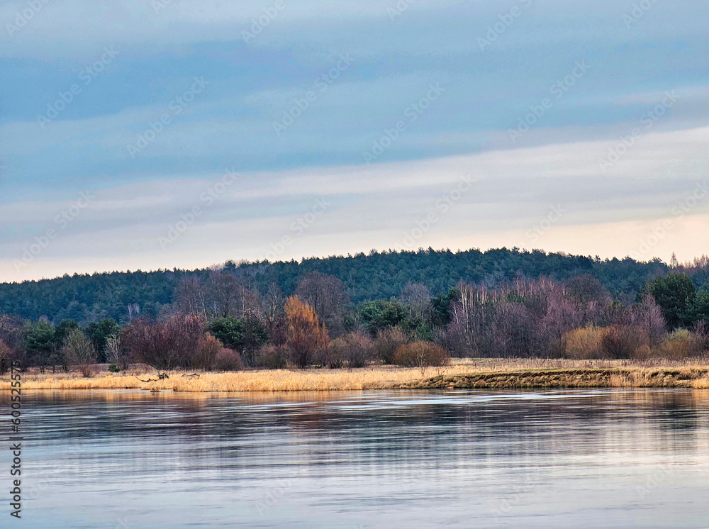 narew river in podlaskie voivodeship, forest in the background