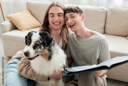 cheerful and young lgbt couple holding photo album in hands and looking at cute Australian shepherd dog while sitting next to couch in modern living room
