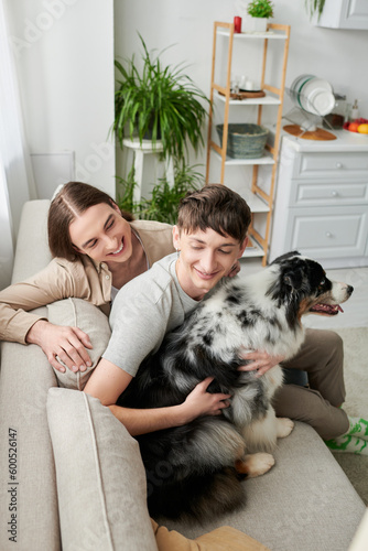 Young homosexual man hugging furry Australian shepherd dog near smiling long haired boyfriend while resting on couch in living room at home