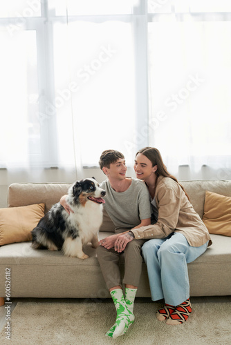 Fotografie Cheerful same sex couple in casual clothes and socks talking near furry Australi