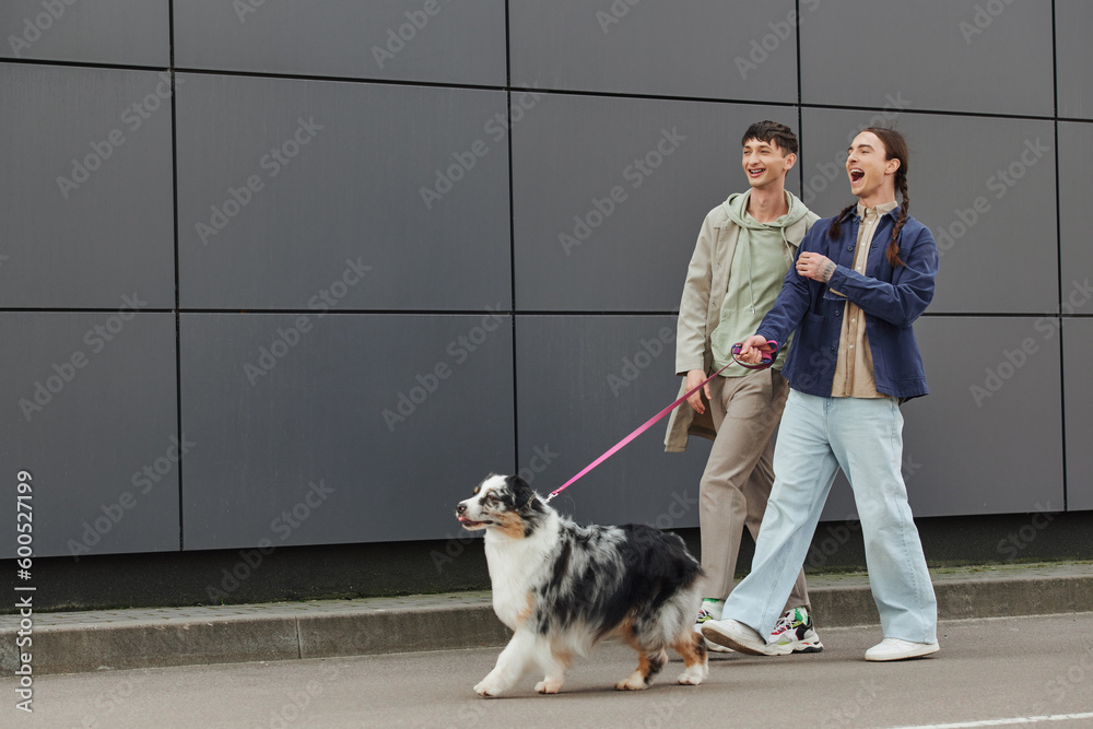 excited gay man with open mouth and pigtails hairstyle holding leash and walking out with Australian shepherd dog and happy boyfriend in casual outfit near modern grey building excited gay man with open mouth and pigtails hairstyle holding leash and walking out with Australian shepherd dog and happy boyfriend in casual outfit near modern grey building