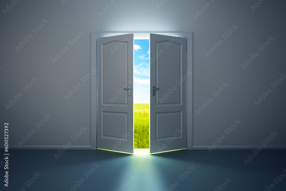 3d rendering the empty room with opened door 3d rendering the empty room with opened door