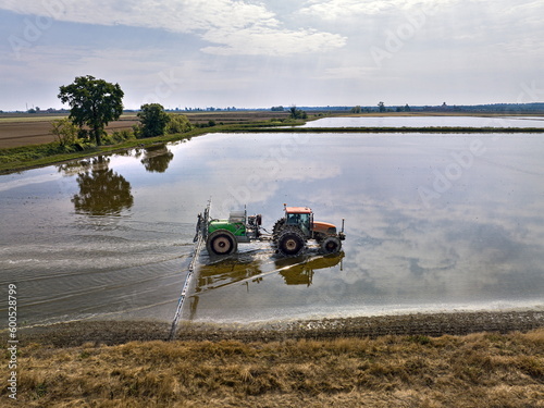 Quadro su tela Aerial view paddy fields, flooded fields for rice cultivation in Italy
