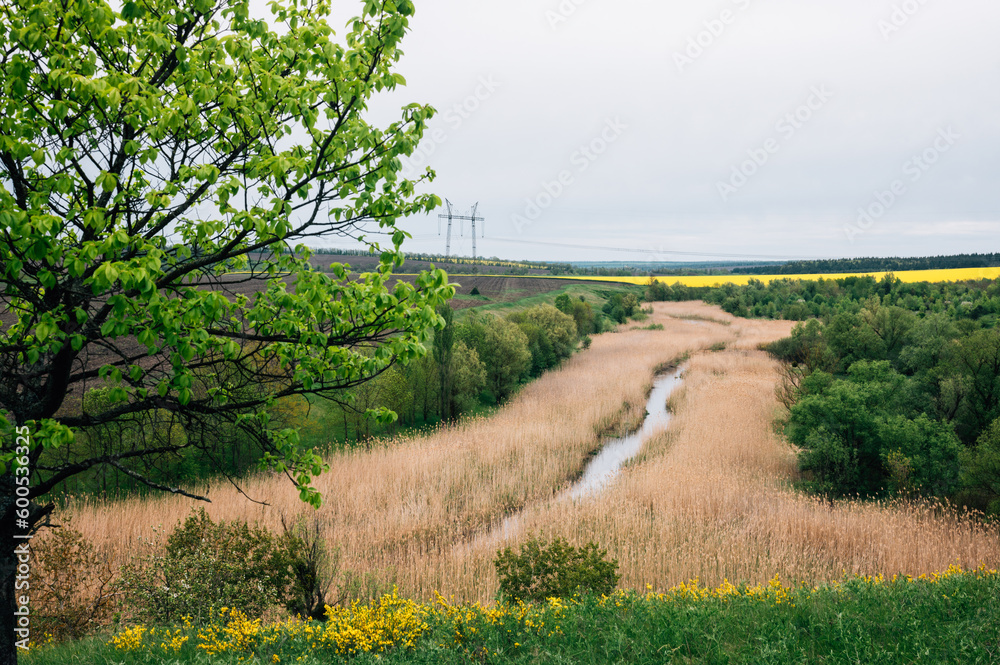 Spring landscape of the land in Ukraine