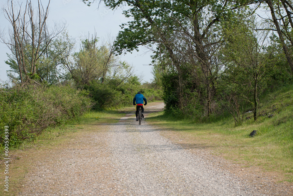 ciclista cavalca nel sentiero nel bosco