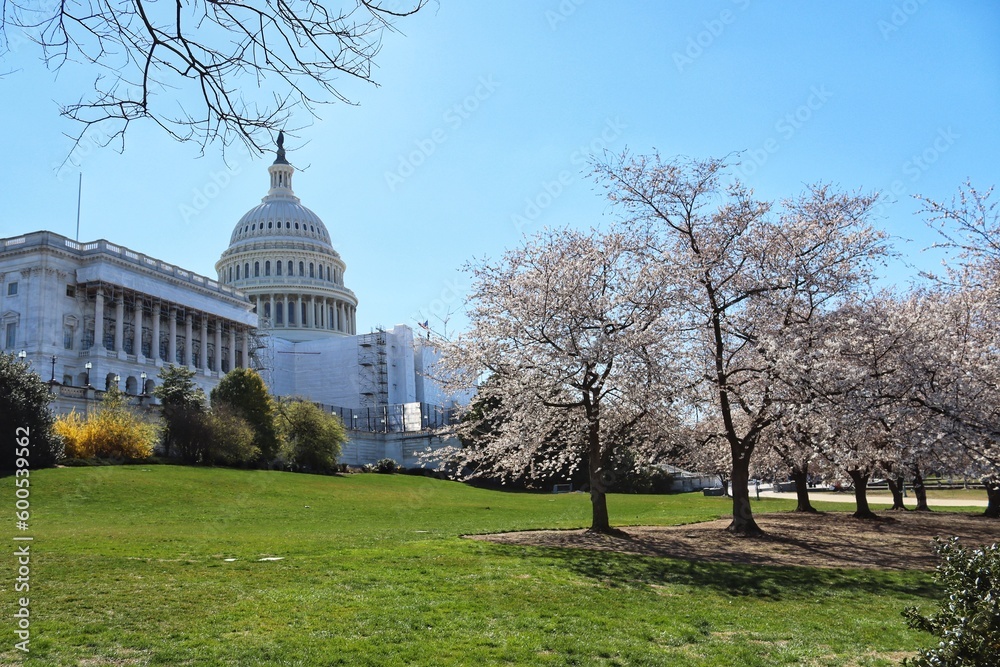 US Capitol in Spring