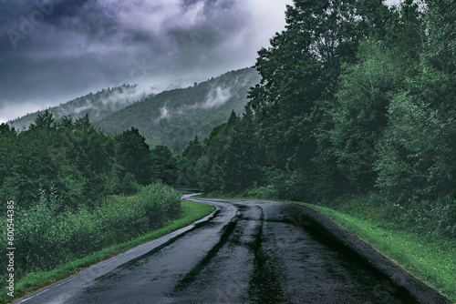 Misty Road: Asphalt Path in the Bieszczady Mountains after Rain, with Eerie Forest in the Background