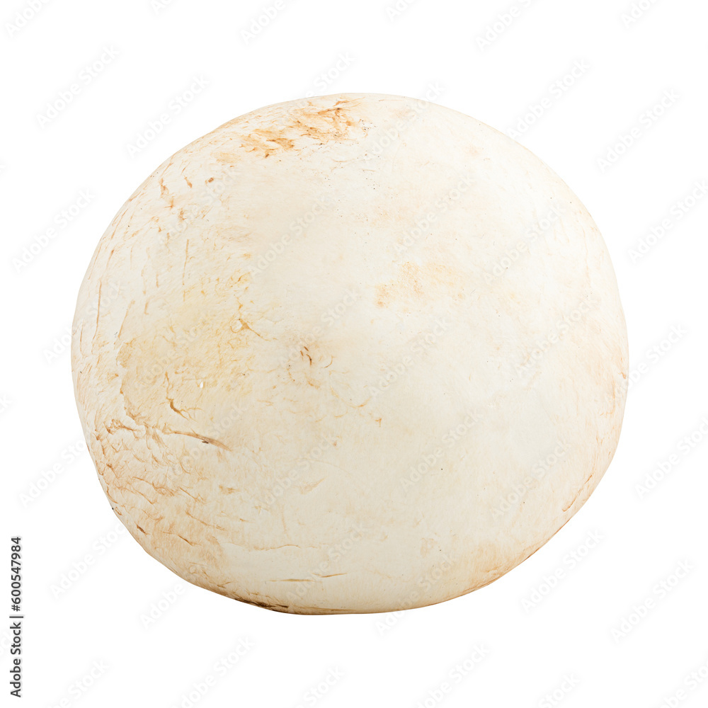 mushroom, champignon, isolated on white background, full depth of field mushroom, champignon, isolated on white background, full depth of field