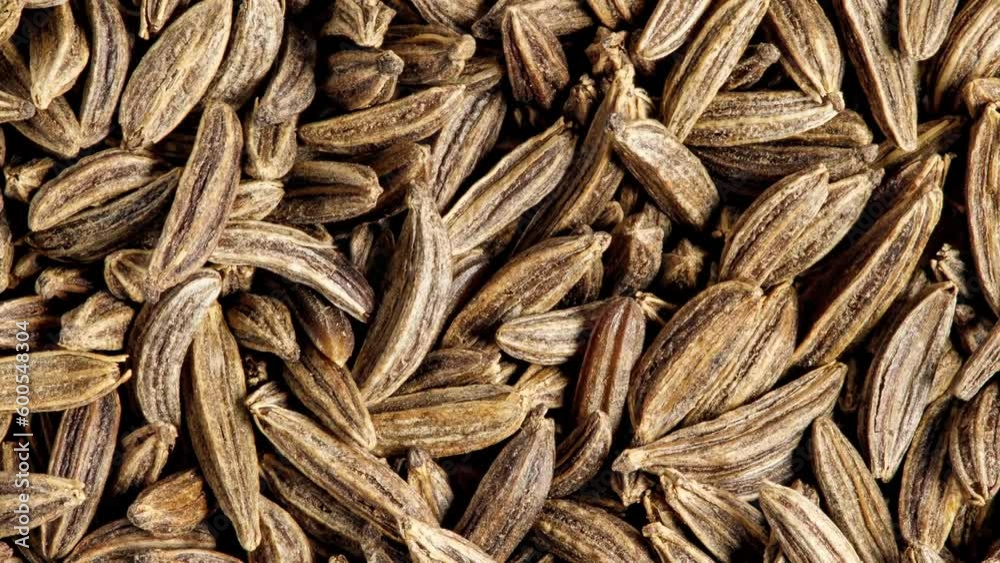 Cumin grains, small seed, rotating, turning, close-up macro, top view
Cumin grains, small seed, rotating, turning, close-up macro, top view