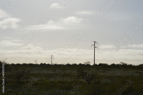 poste gigante de electricidad en el medio del campo photo