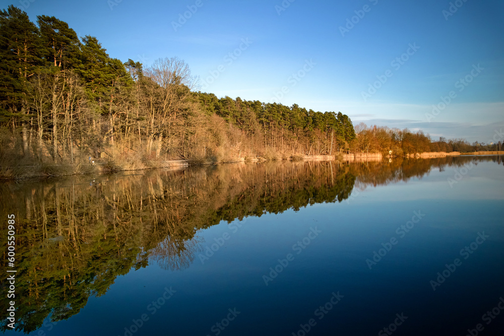 Fototapeta premium Woods in water mirror.