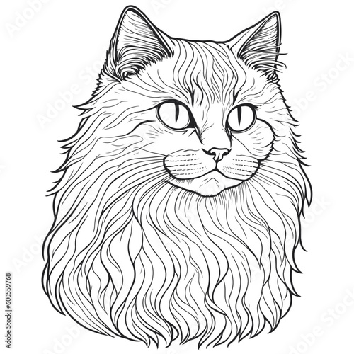 Hand-drawn vector illustration of a cat. Sketch-style cat.  Animal portrait. Concept black and white color. © MYKHAYLO