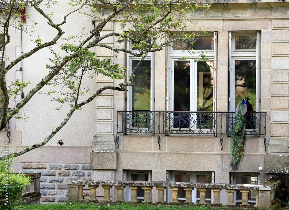 Devant la façade