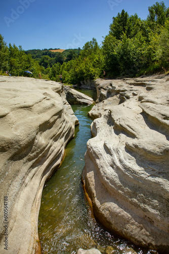 Riva del fiume Savena, comune di Pianoro, città metropolitana di Bologna, Emilia Romagna photo