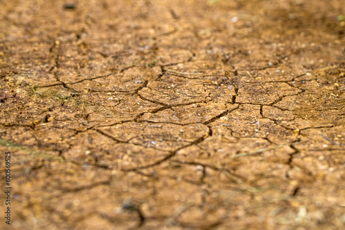Part of a Large Area of Drought Bitter Dried Land - In Cracks