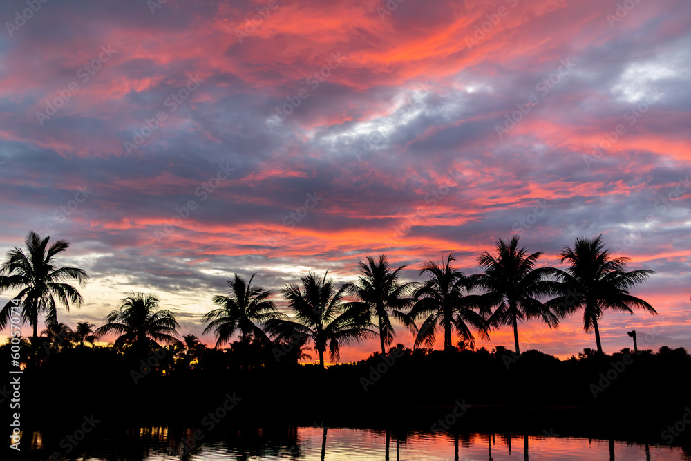 Line silhouettes of palm trees with reflection in lake at sunset time with red and blue sky, vintage tone.