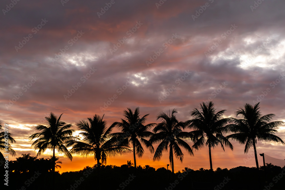 Line silhouettes of palm trees with reflection in lake at orange sunset time, vintage tone.