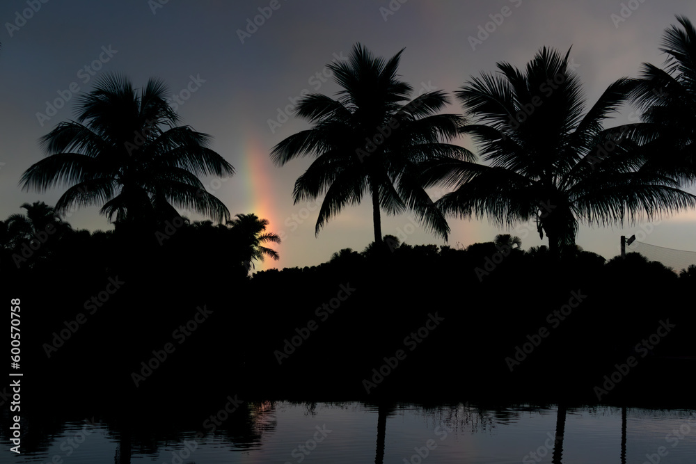 Obraz premium Sunset line silhouettes of palm trees with small rainbow