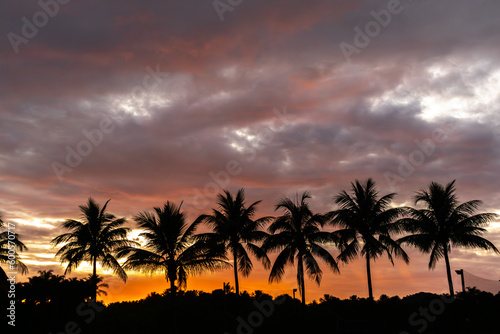 Line silhouettes of palm trees with reflection in lake at orange sunset time  vintage tone.