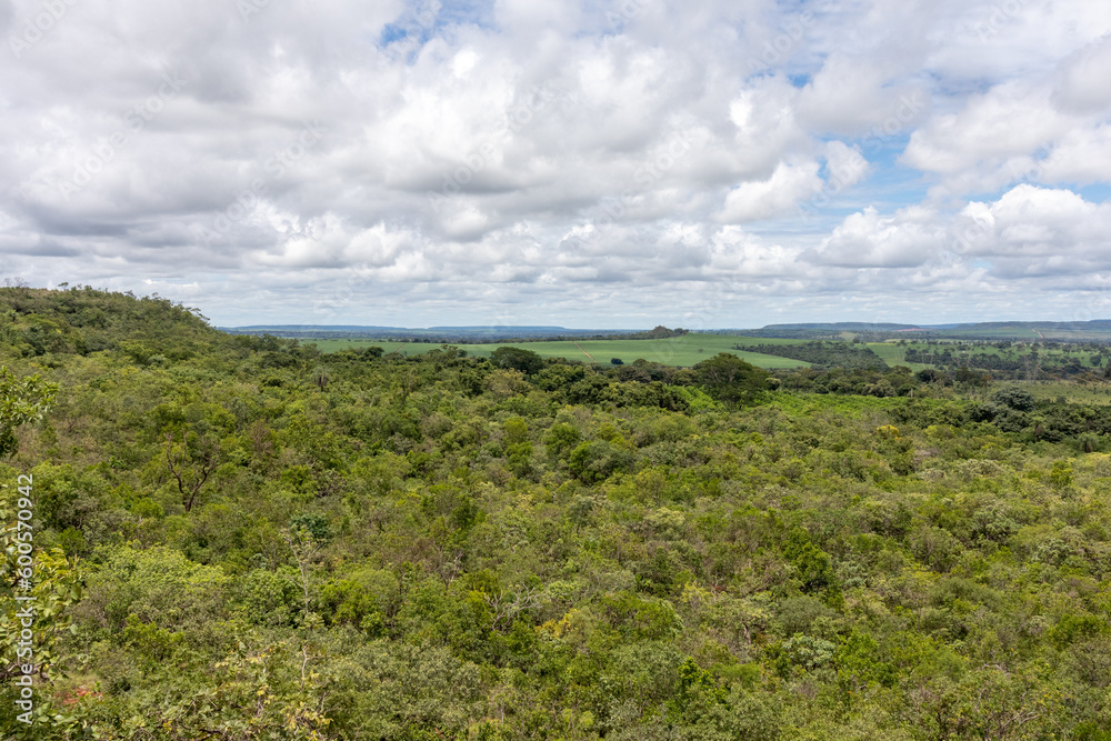 Aerial view of endless lush grassland and cultivated farmland with green fields and small forests Aerial view of endless lush grassland and cultivated farmland with green fields and small forests