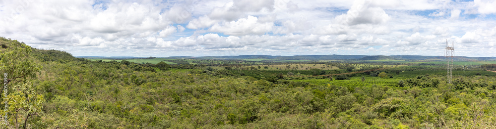 Aerial view of endless lush grassland and cultivated farmland with green fields and small forests