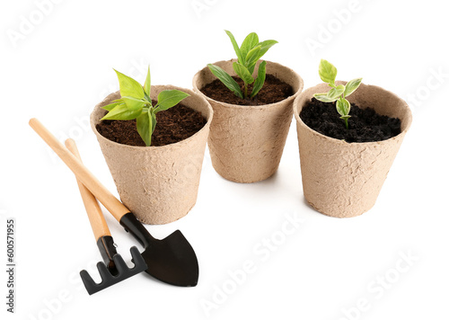 Peat pots with green seedlings, shovel and rake on white background