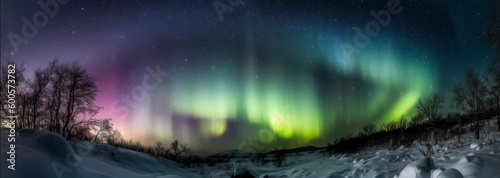 A starry moonlit sky with an aurora borealis above. Horizontal banner. AI generated © ArtStage