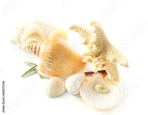 Seashells and starfishes isolated on white background