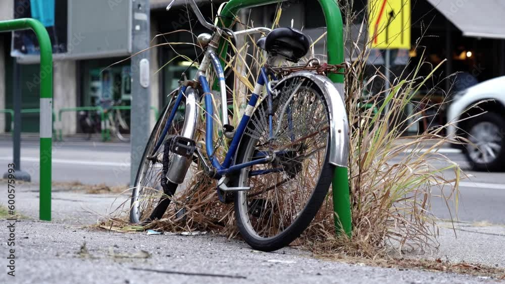 Small chained bicycle leaned on thin green bar and dry grass Small chained bicycle leaned on thin green bar and dry grass