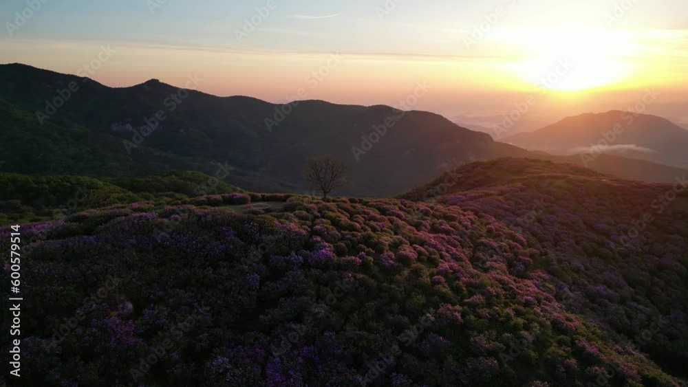 황매산일출 황매산일출
