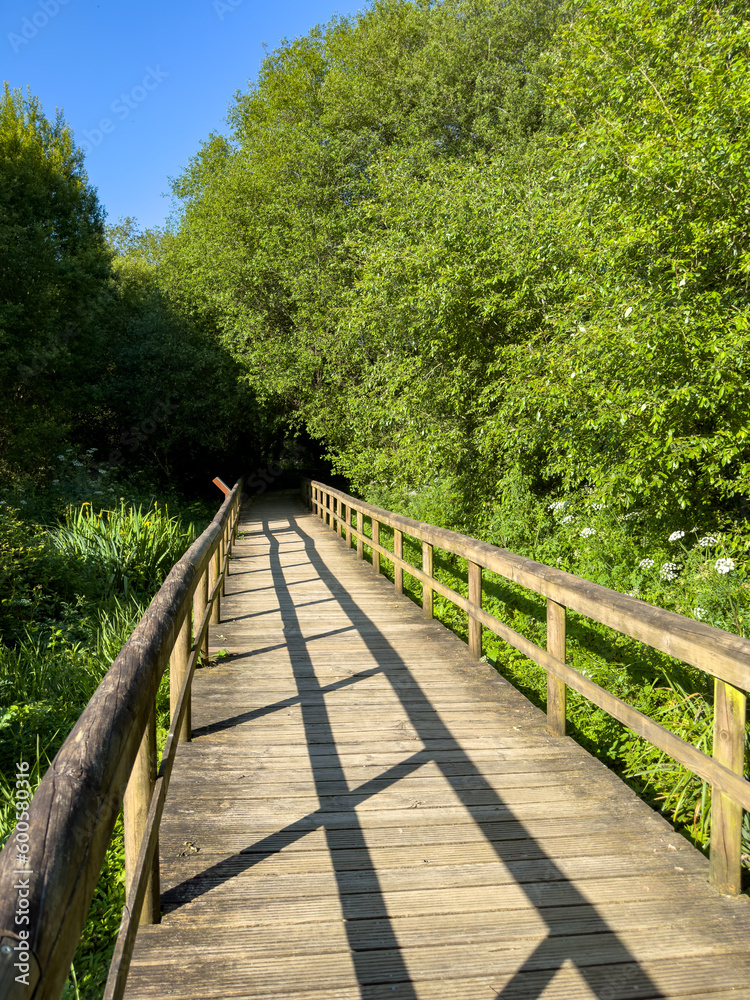 Wooden pathway in Fiaes Wooden pathway in Fiaes