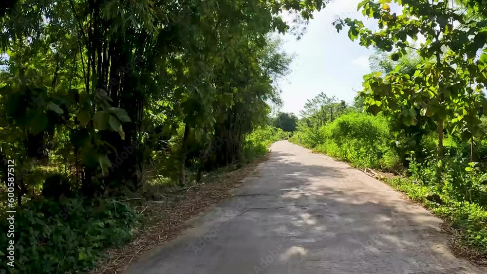 Time-Warping POV Drive through a Scenic Country Road