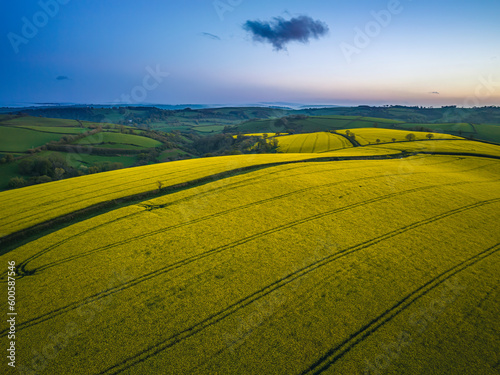 Sunset over Rapeseed fields and farms from a drone, Devon, England