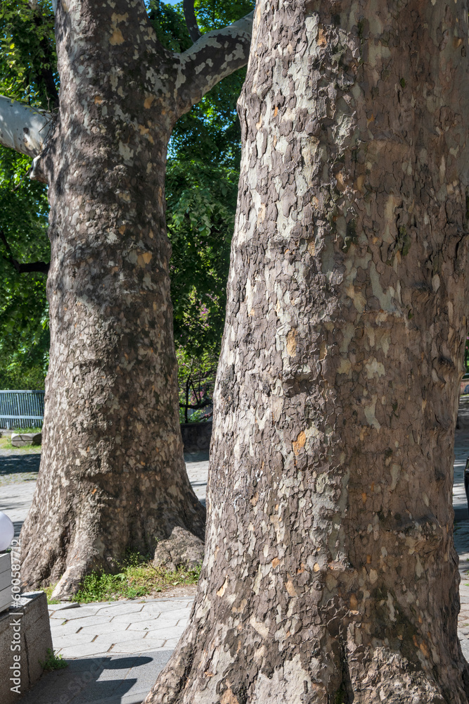 Central pedestrian streets of city of Plovdiv, Bulgaria