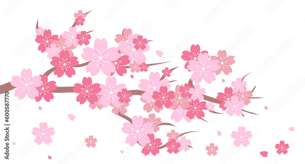 Sakura blossom branch. Cherry blossom branch. Cherry blossom with pink sakura. Pink sakura flower background. Falling petals. Vector illustration