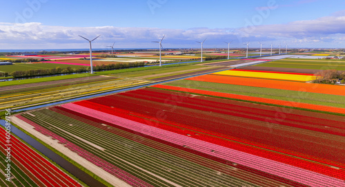 A modern windmills with beautiful tulip barn on sky view 