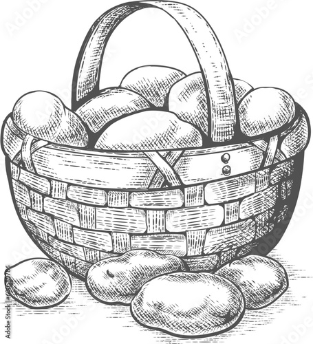 Potatoes basket sketch