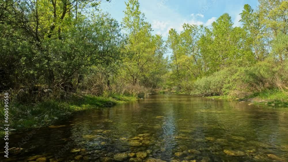 Ticino river in the forest in national park Ticino river in the forest in national park