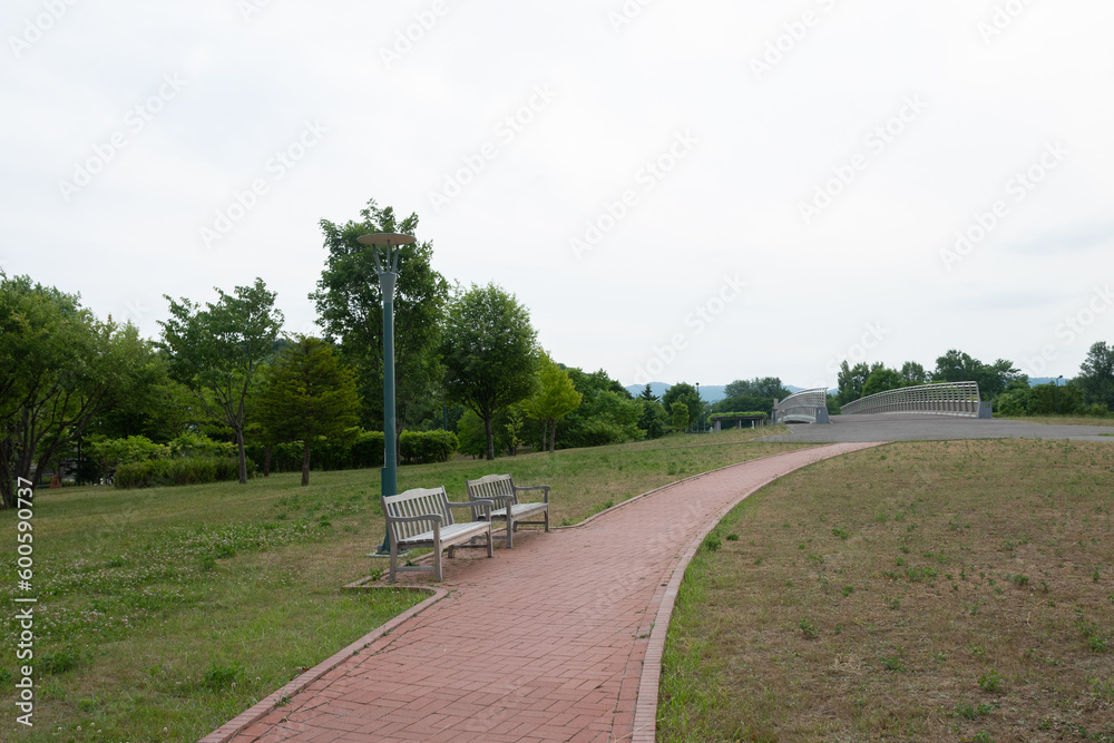 Obraz premium ベンチがある初夏の公園 