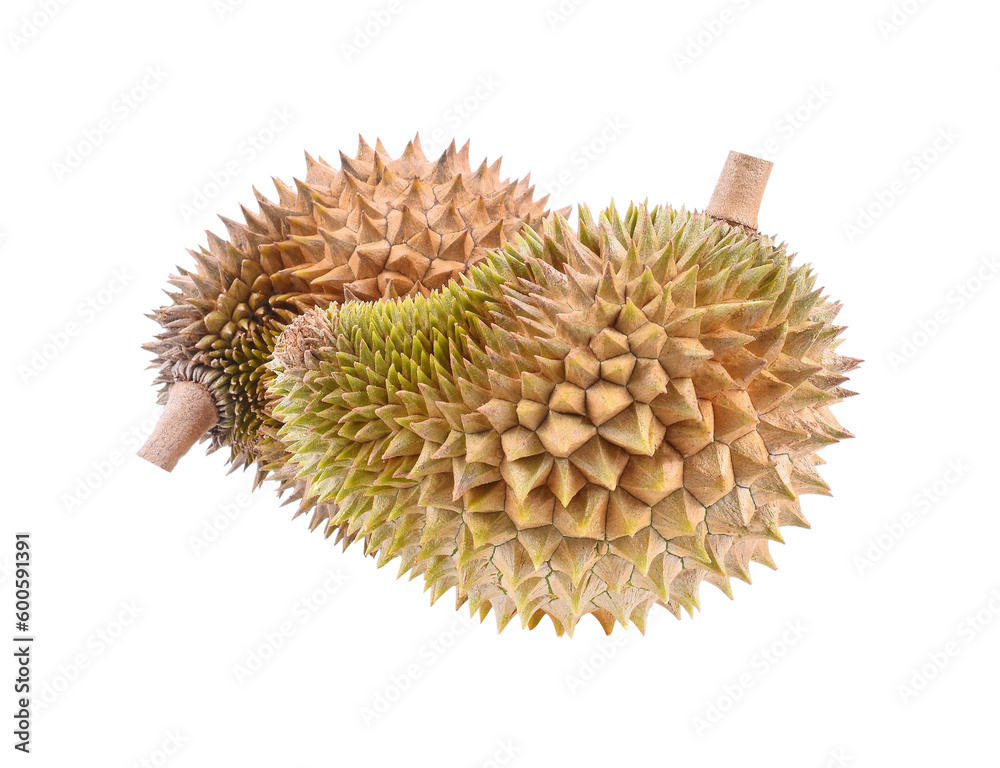 Durian transparent png Durian transparent png