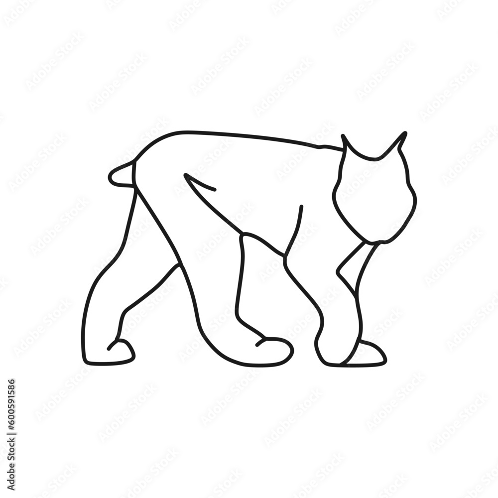 Canada Lynx icon in outline mode. Top choice of animal vector