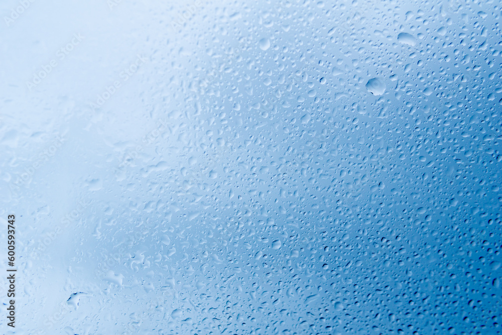 Fototapeta premium 雨粒
