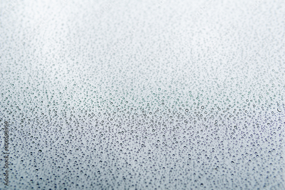 Obraz premium 雨粒