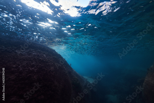 a lot of fish swims over the stones in the rays of the sun underwater. underwater fish photography