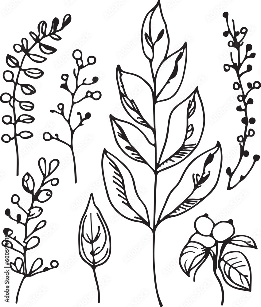Great hand drawn line forest flora vector Great hand drawn line forest flora vector