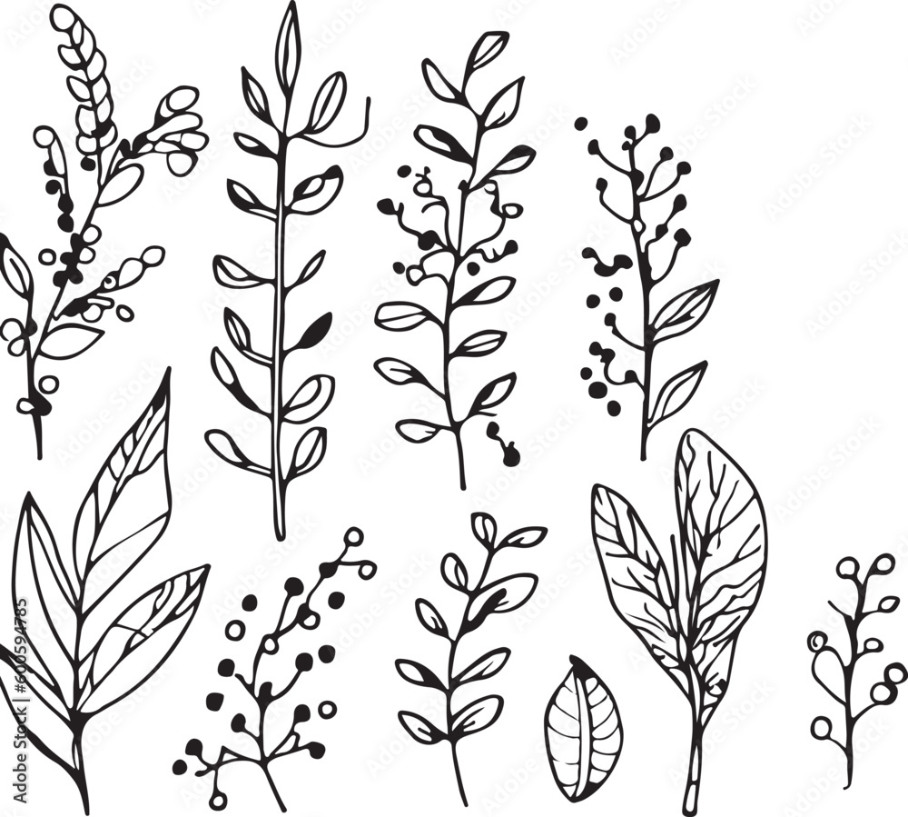 Super hand drawn line forest flora vector Super hand drawn line forest flora vector