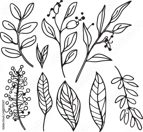 Awesome hand drawn line forest flora vector