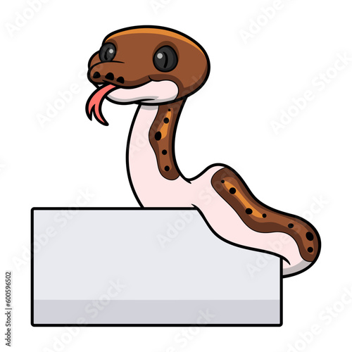 Cute pied reticulated python cartoon with blank sign