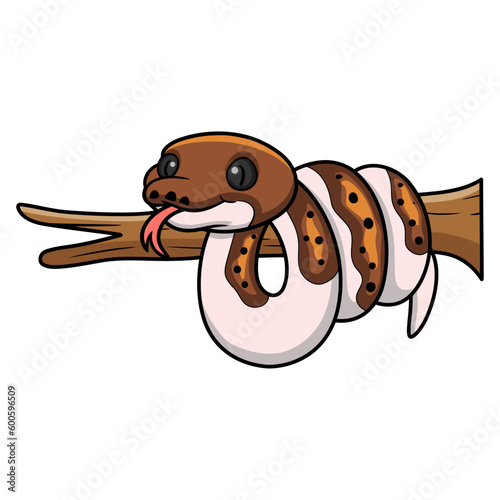 Cute pied reticulated python cartoon on tree branch