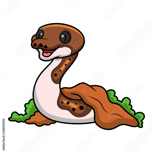Cute pied reticulated python cartoon out from hole